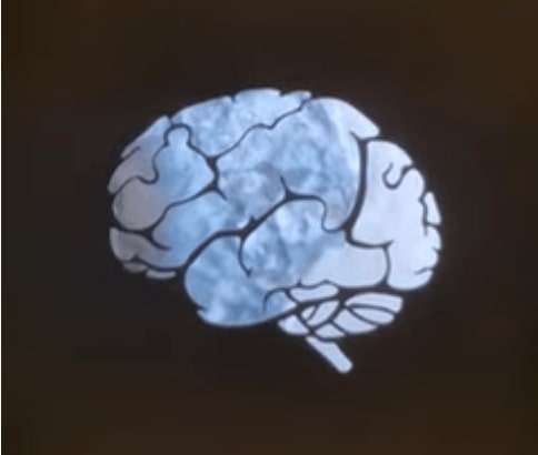A brain on a black background